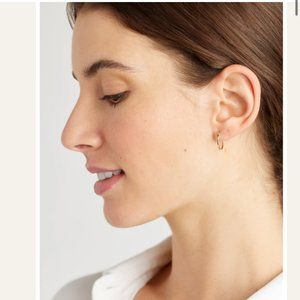 Quince 14k Gold Hoop Earrings